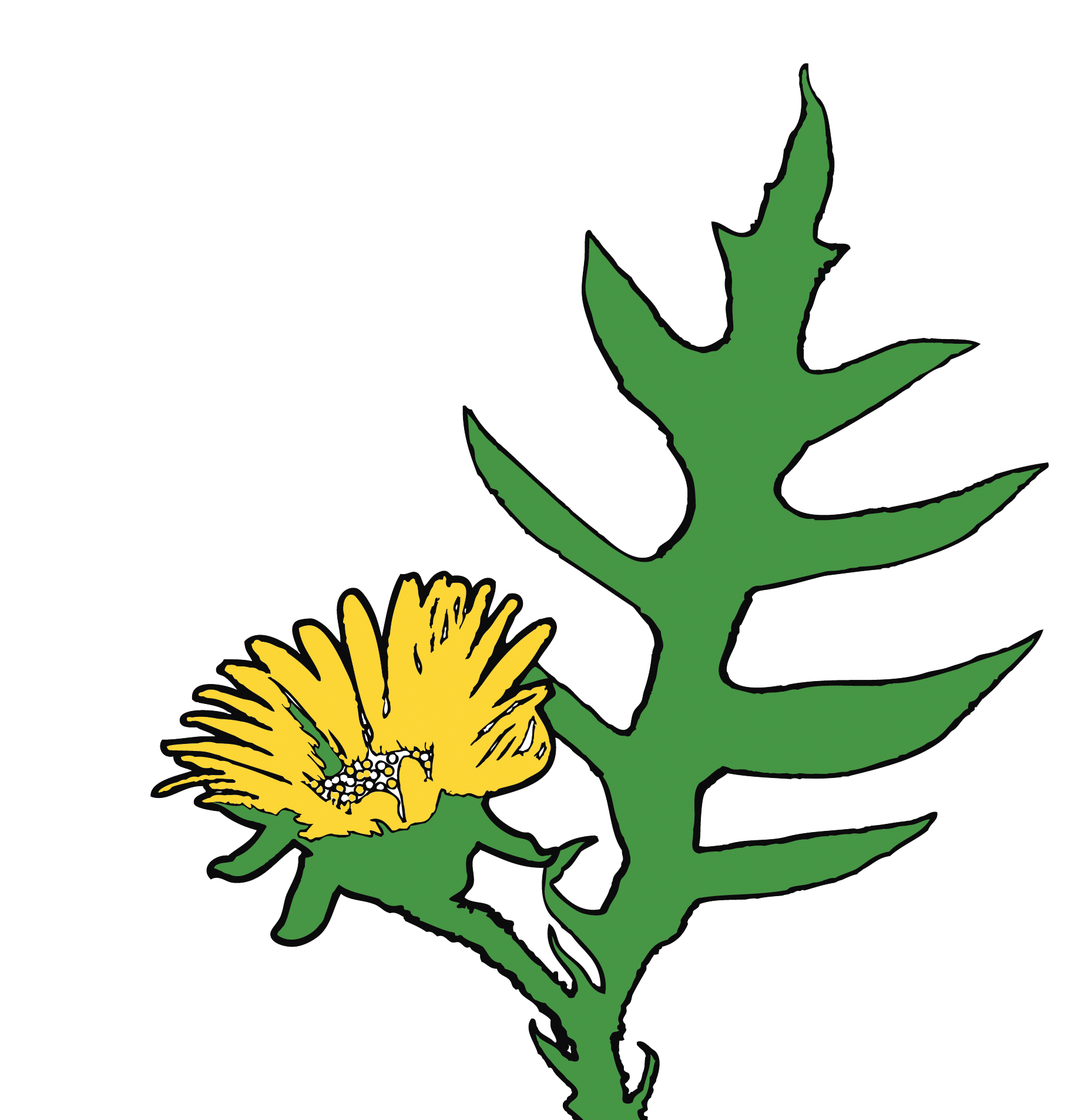 Compass Flower Press